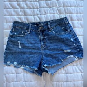 Aerie daydreamer shorts